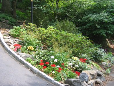 Base of the driveway on the right is looking great. ...