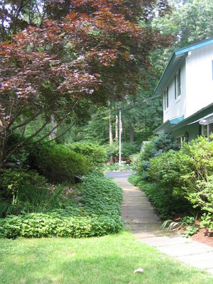 Guess the pachysandra is encroaching on the front walk