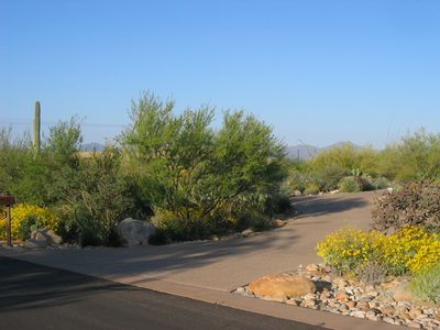 The saguaro above are just off the right edge of this photo.