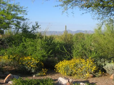 To the southwest from the driveway.  Lots of...
