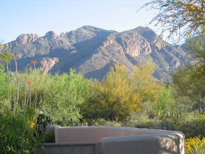 Moving to the back yard.  View of the Catalinas from the...
