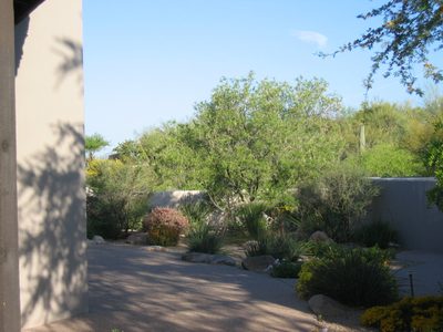 Looking toward the NW corner of the back patio.  The...