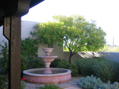 Inside the courtyard, another blooming yellow tree. ...