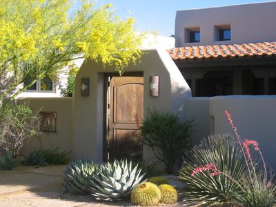 Early morning sun on the palo verde.  The pinkish...