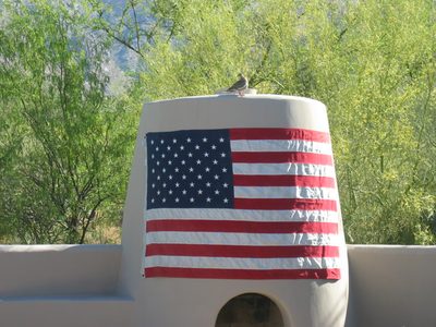 That's not an American Eagle ... just an AZ dove atop...