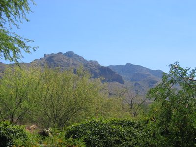 Just the mountains off the back patio.  Would like to...