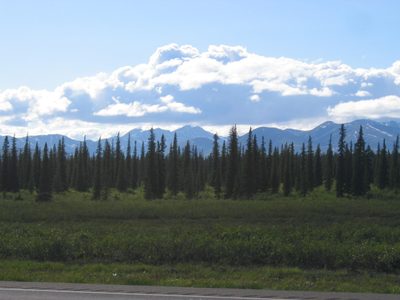 Another "mcKinley" shot ... this is where Aunt Judy...