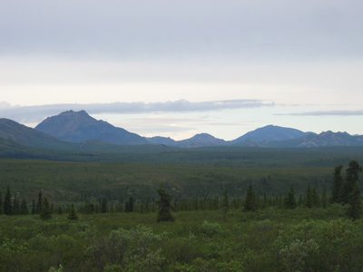 And another 'picture' of Mt McKinley ... the brightest...