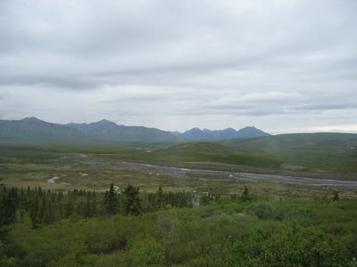 What is called a "braided river", fed by glaciers.  The...