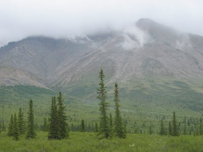 Just a pretty picture in Denali, which is so empty and...