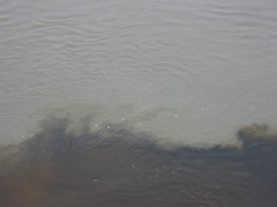 A close up of the same.