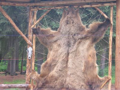 Part of the native Alaskan display