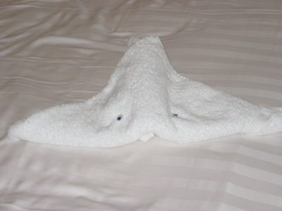 First of the towel critters that Holland America puts on...