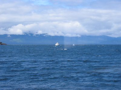 To the right of the other boat, you can see a "blow"...