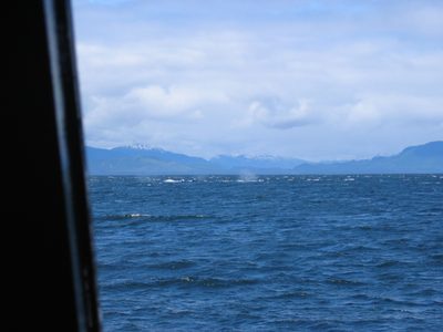 Certainly a lot of activity out there.  Our naturalist...