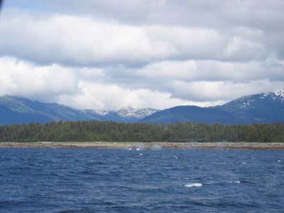 But this is where the whales had moved too.  Fairly...