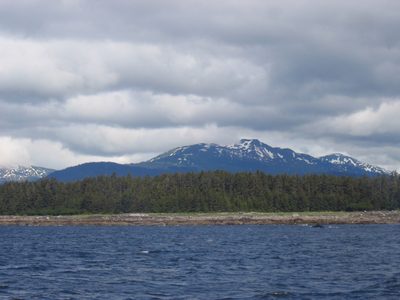 We were probably in and around this group of whales for...