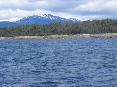 Nope ... just whales near by.