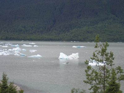 The ice bergs are in Mendelsohn Lake which is fed by the glacier.