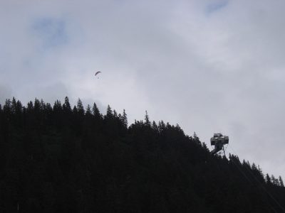 This fellow caught my eye, parasailing over Mt Roberts