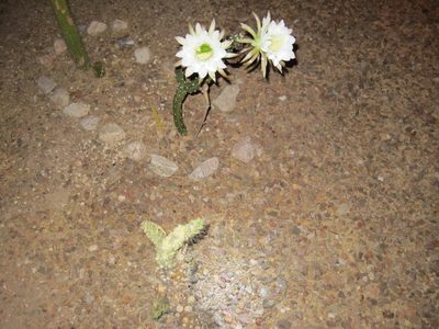 As we wee leaving around 10 pm.  By 6 am this morning,...