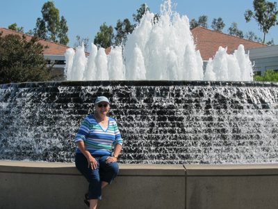 Pretty fountain in front of library
