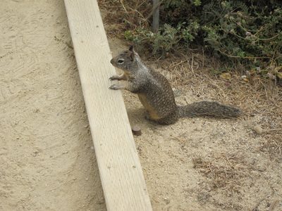 A different fellow.  I think they all work for potato chips.
