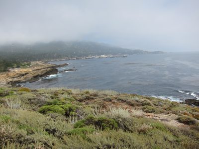 Walking along the South Trail in Pt Lobos State Park.