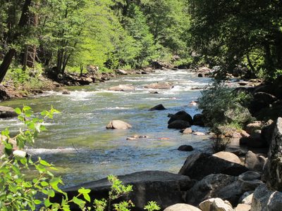 A beautiful day and the Merced was just gurgling along. ...
