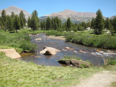 Not sure what creek this is, but we followed it quite...