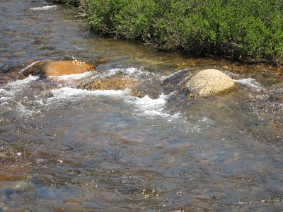 The water appeared crystal clear.