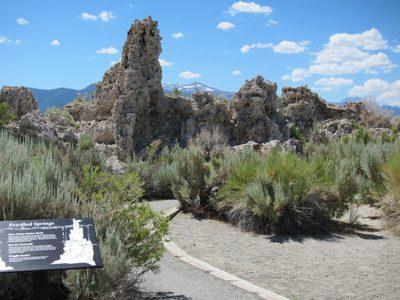 Our first views of the Tufa's .. Calcium carbonate...