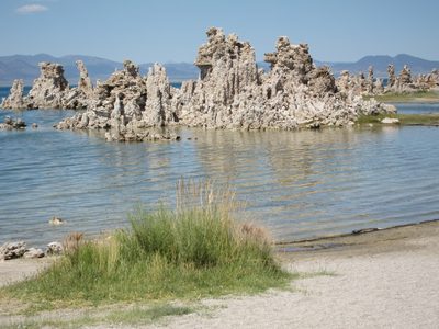 The black line along the shore are millions of alkaline...