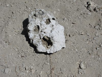 and then, a dead Tufa ... very Edward Munch-ish.
