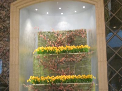 There were magnificent flower displays everywhere.