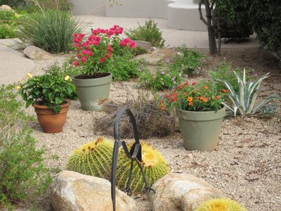 A few of the pots we put together to add some color to...