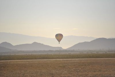 About to settle down near the cotton fields