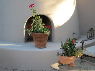 Meanwhile, in a burst of late summer planting, I potted...