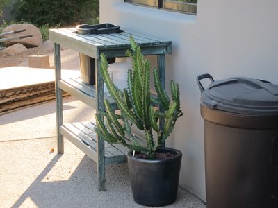 My potting table got moved around to the back of the...
