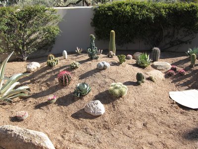 This is the center mound or berm with cardboard for...