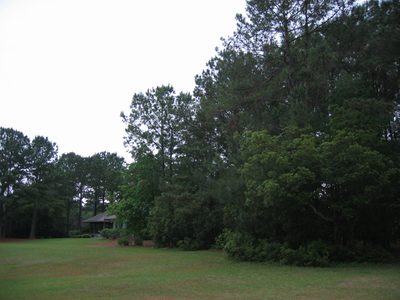 Rear section of the Fiddler's lot