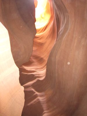 This is shot looking up into the sunlight
