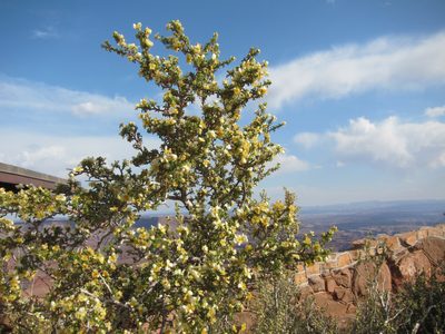 Will include it in the Canyonland series since it abuts it.