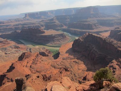 Either the Green or the Colorado River viewed from Dead...