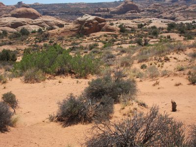 At the top, just right of center is what looked like the...