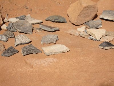 Some of the pottery shards found in the area.