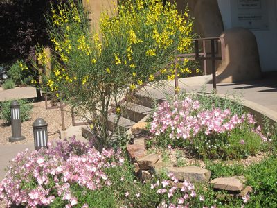 Flowers outside our hotel, the Inn at Loretto