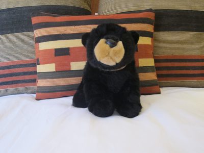 A bear who sat on our bed ... no sign that said we could...