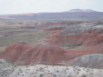 A little further north we get into "Painted Desert" land