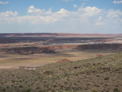 Quite a bit of color in the landscape